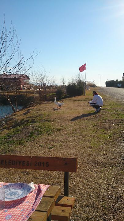 Yorum fotoğrafı 2