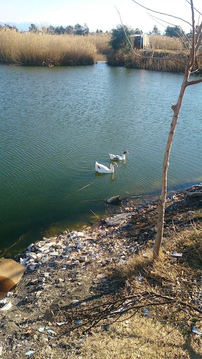 Yorum fotoğrafı 3