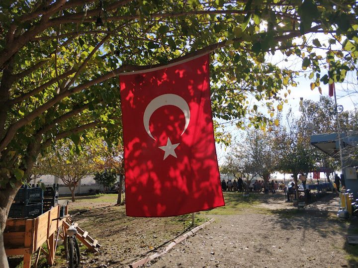 Yorum fotoğrafı 2