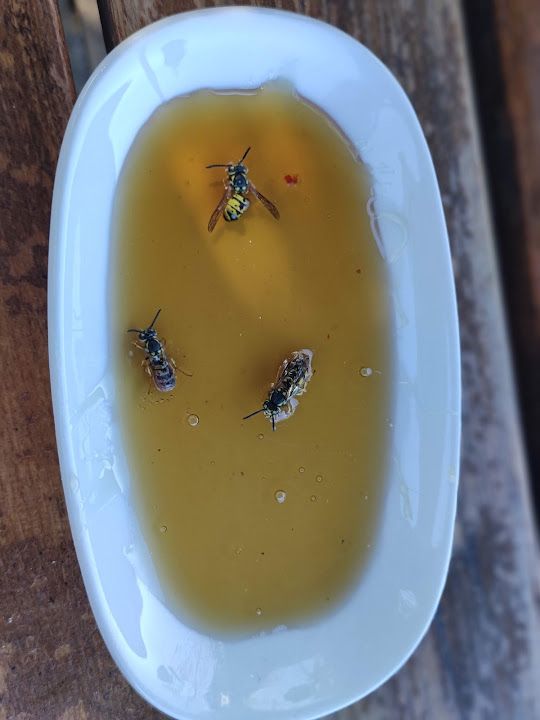 Fotoğraf 31
