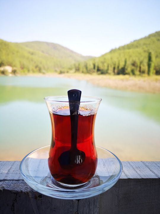 Fotoğraf 43