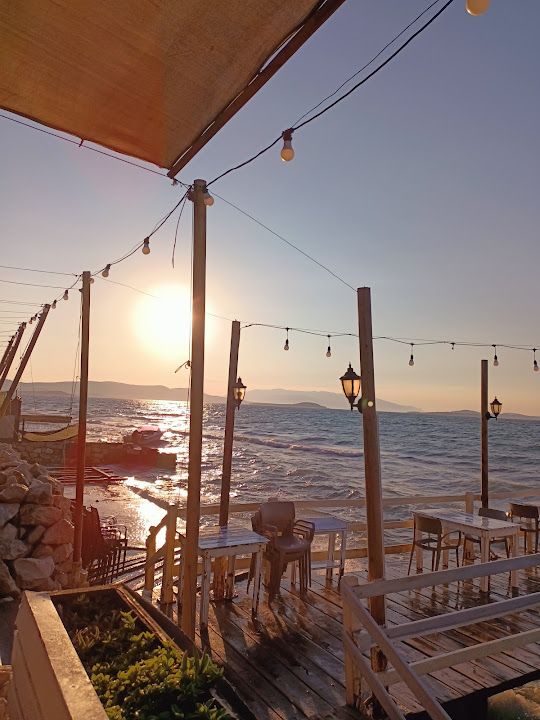 Fotoğraf 30