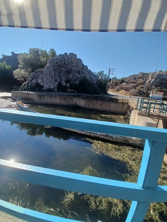 Yorum fotoğrafı 1