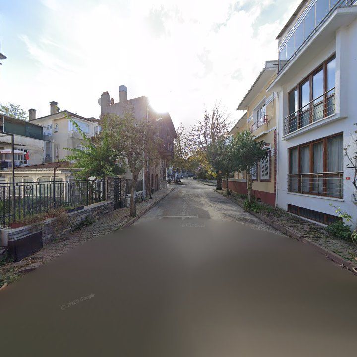 Fotoğraf 11