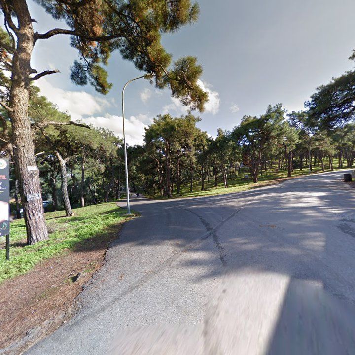 Fotoğraf 16