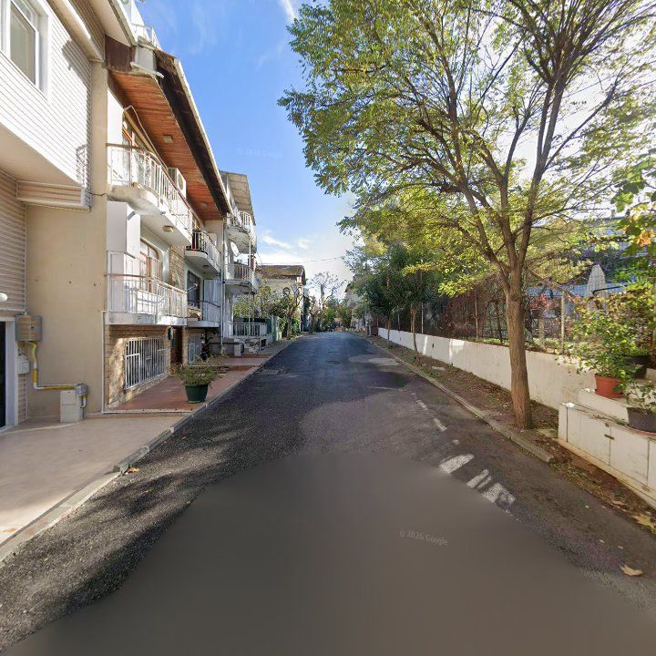 Fotoğraf 11
