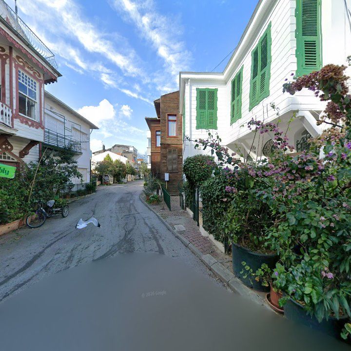 Fotoğraf 10