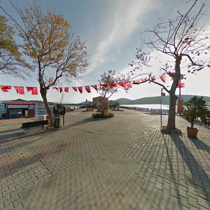 Fotoğraf 10
