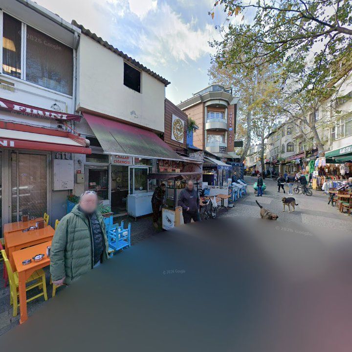 Fotoğraf 12