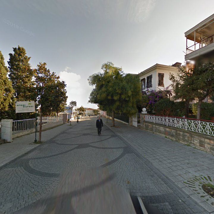 Fotoğraf 12