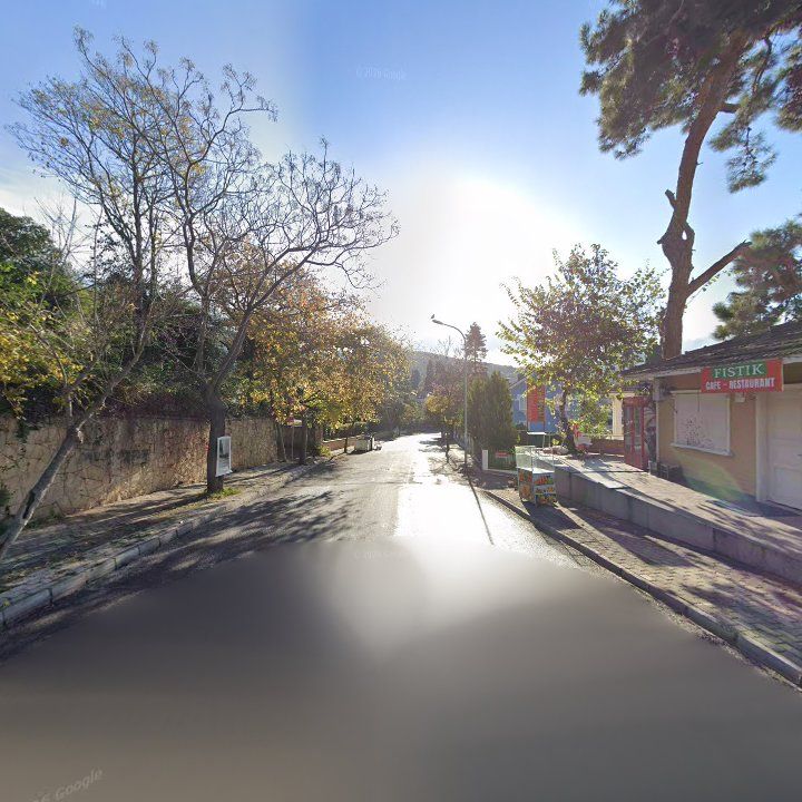 Fotoğraf 10
