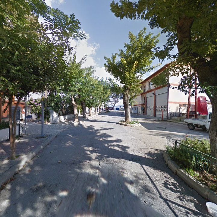 Fotoğraf 9