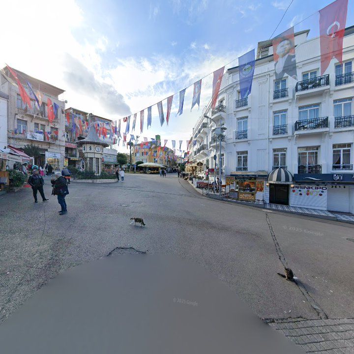 Fotoğraf 7