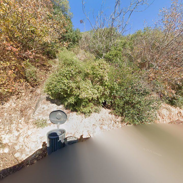 Fotoğraf 12