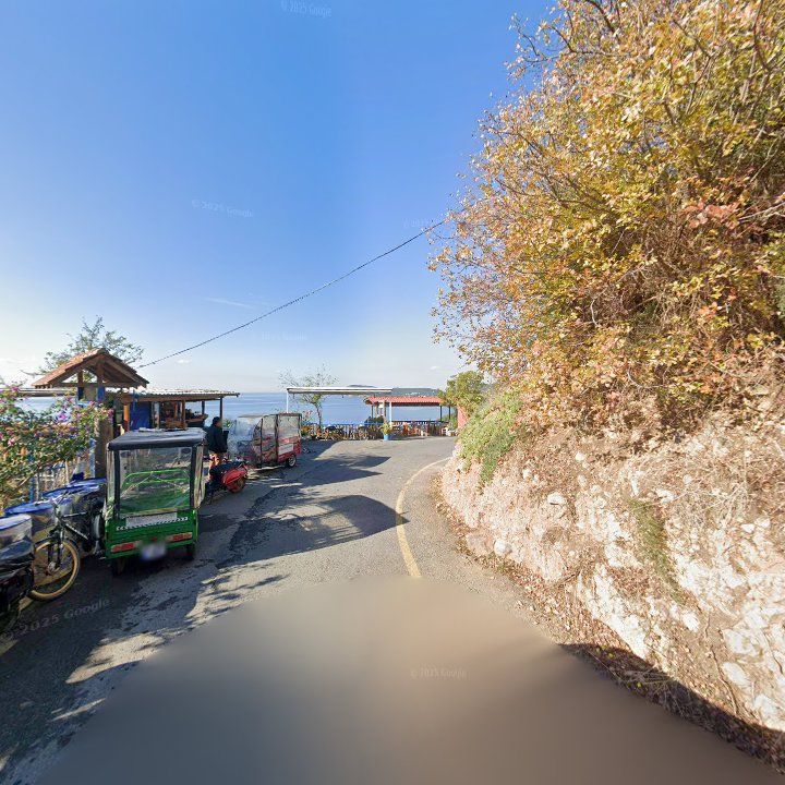 Fotoğraf 15