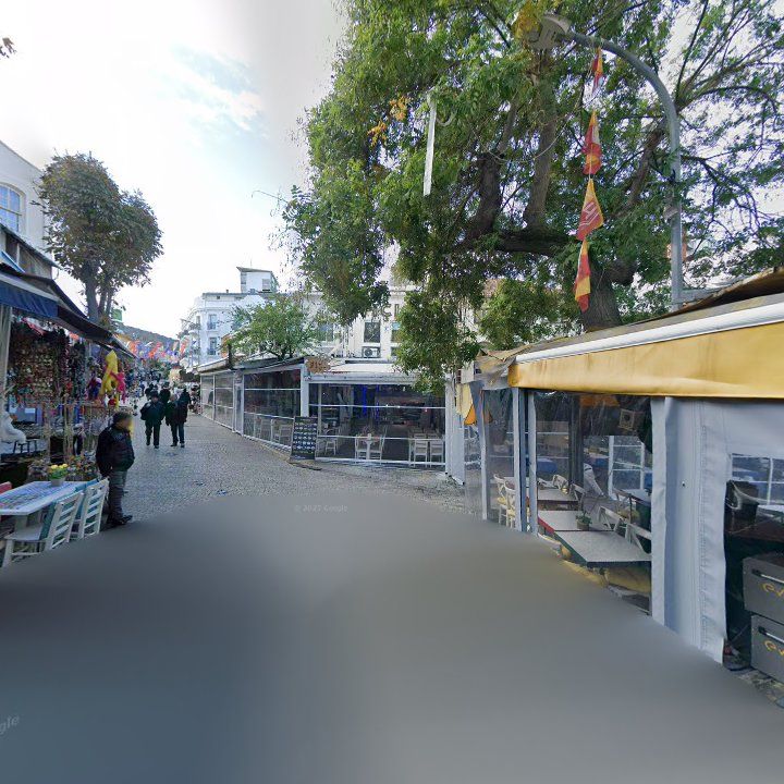 Fotoğraf 12