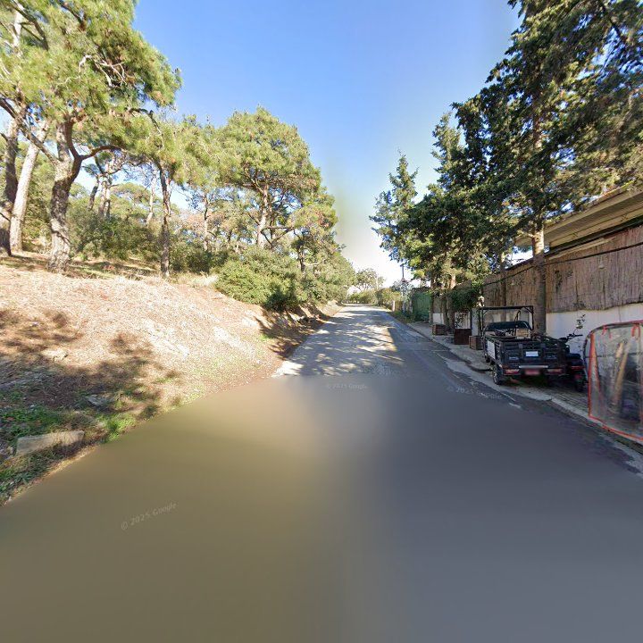 Fotoğraf 13