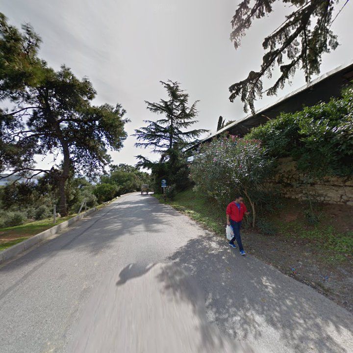 Fotoğraf 15