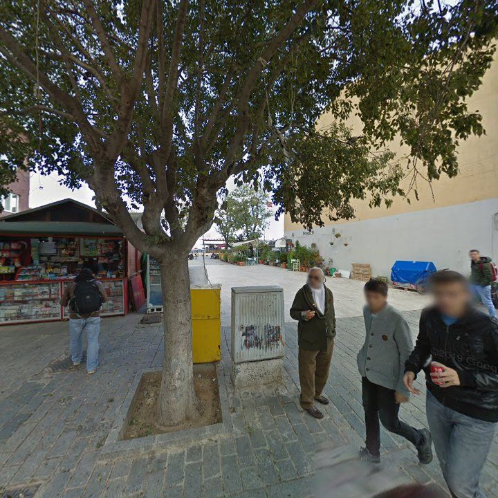 Fotoğraf 11