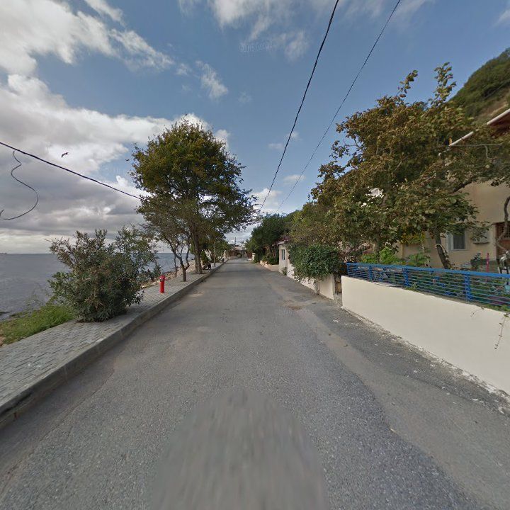 Fotoğraf 10