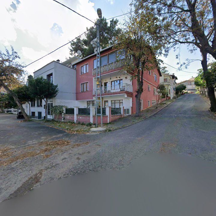 Fotoğraf 15