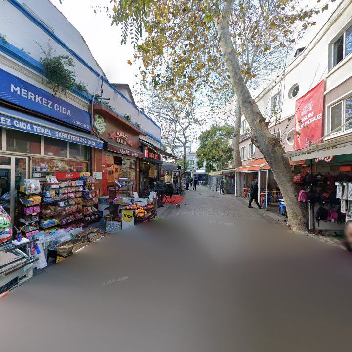Fotoğraf 12