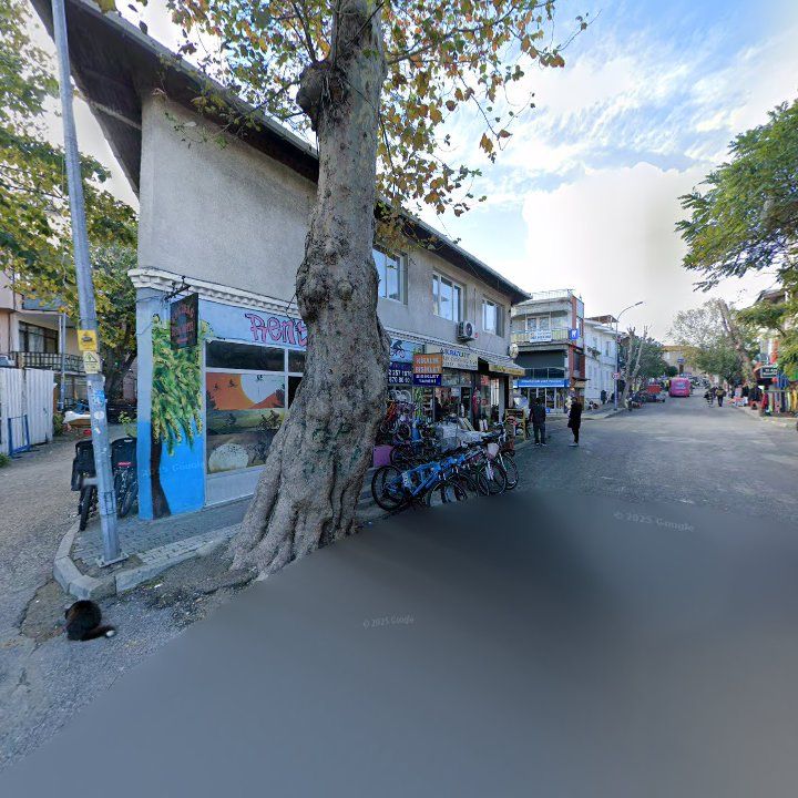 Fotoğraf 13
