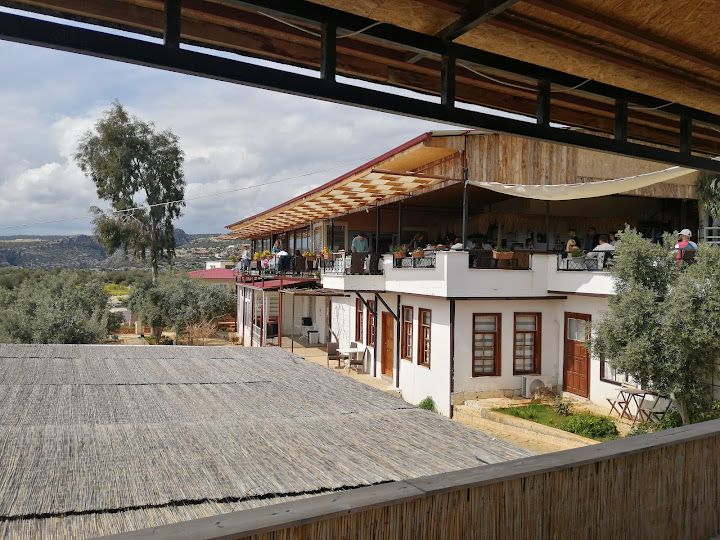Yorum fotoğrafı 3