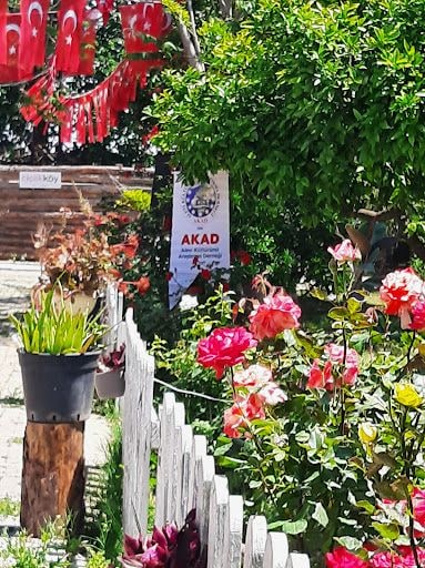 Yorum fotoğrafı 5