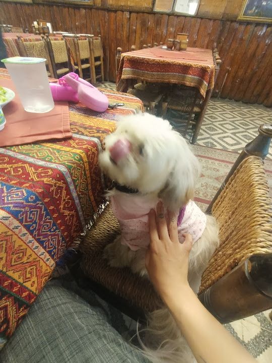 Fotoğraf 27