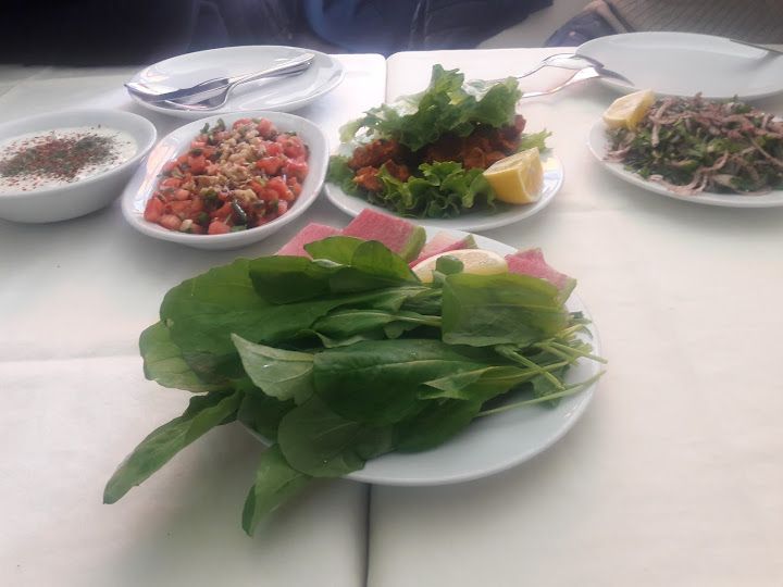 Fotoğraf 31