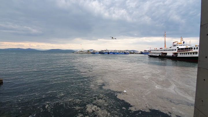 Fotoğraf 26