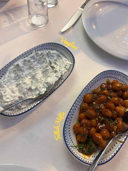 Fotoğraf 15