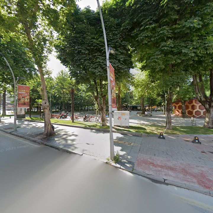 Fotoğraf 10