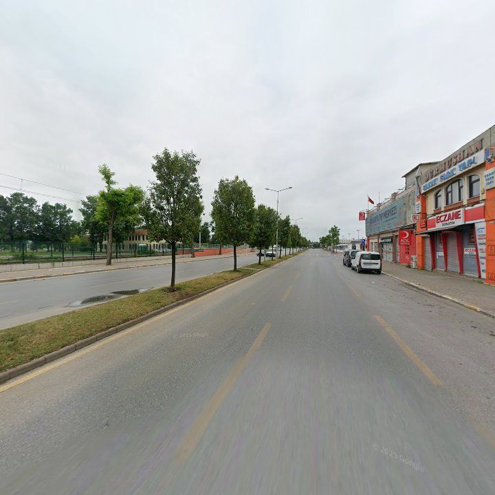 Fotoğraf 12