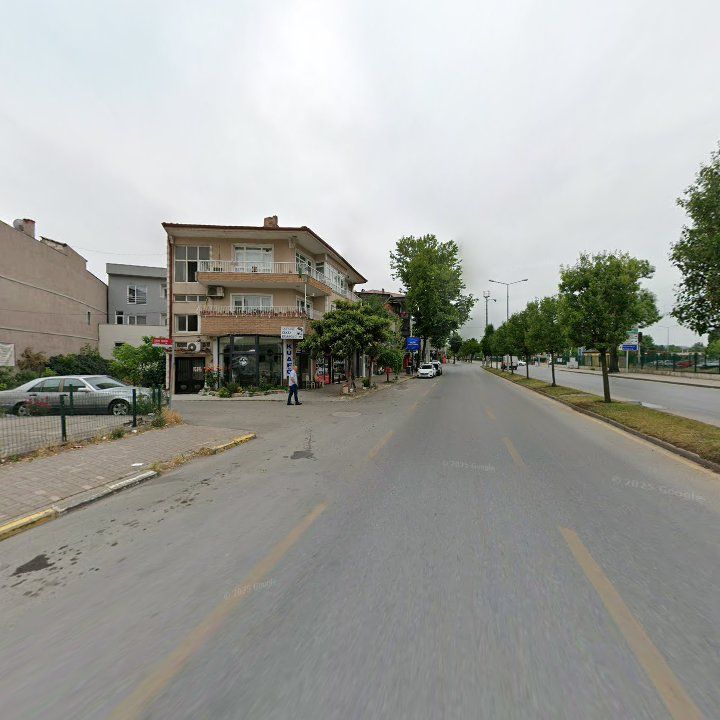 Fotoğraf 10