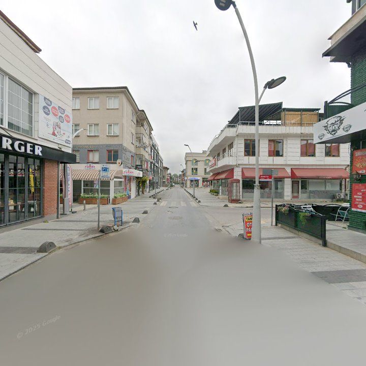 Fotoğraf 8