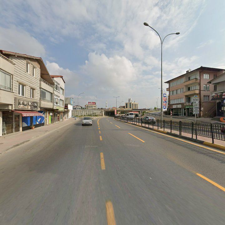 Fotoğraf 10