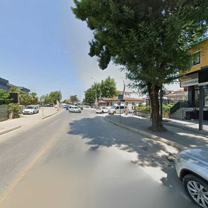 Fotoğraf 12