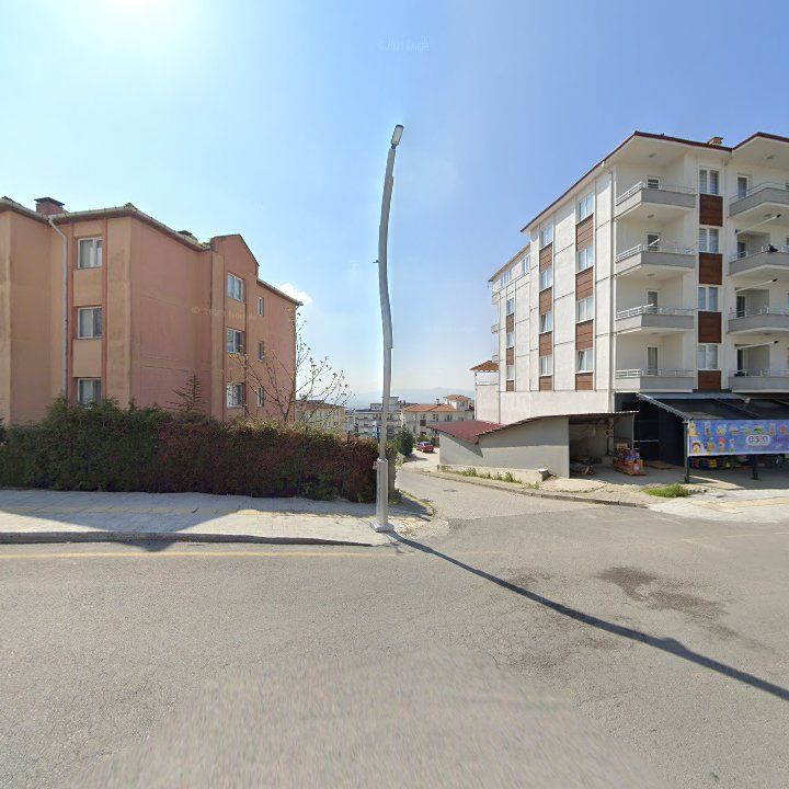 Fotoğraf 10