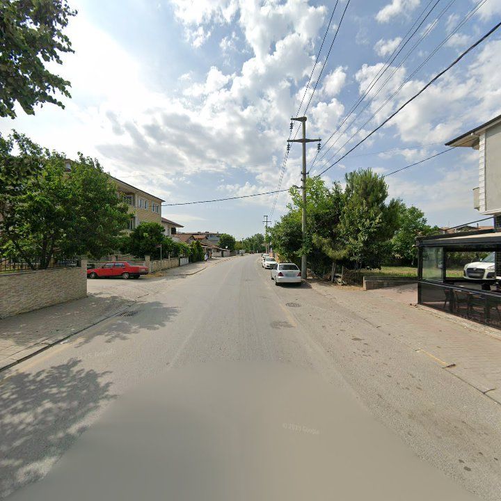 Fotoğraf 11