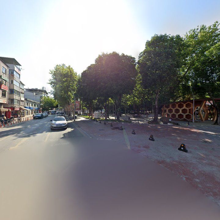 Fotoğraf 10