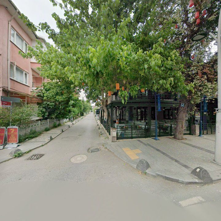 Fotoğraf 10