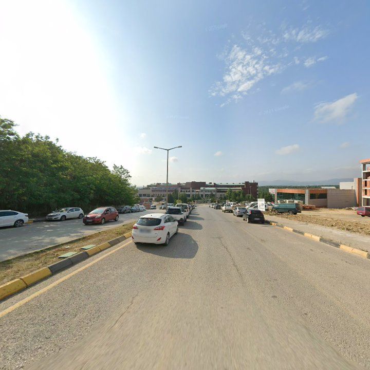 Fotoğraf 8