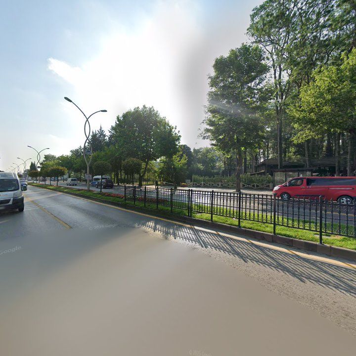 Fotoğraf 11