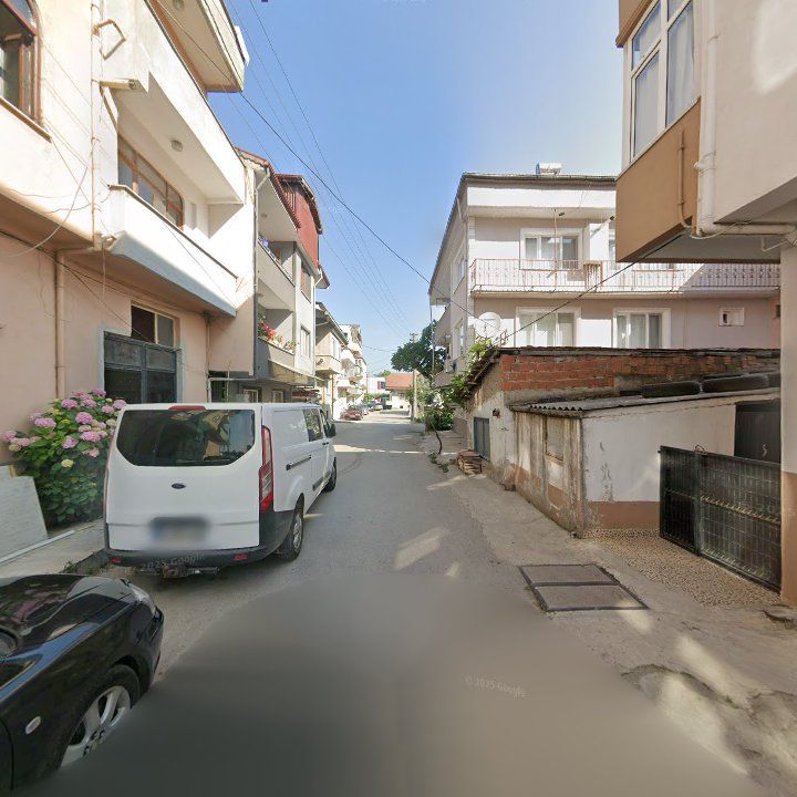 Fotoğraf 7