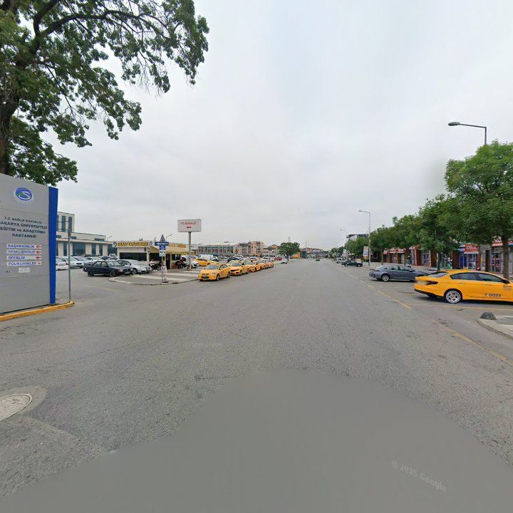 Fotoğraf 15