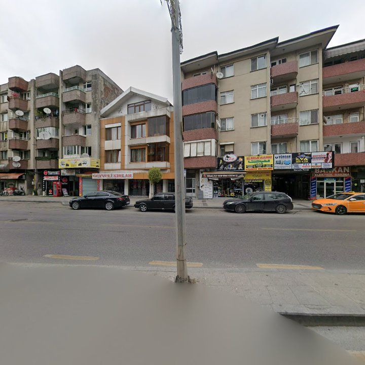 Fotoğraf 13