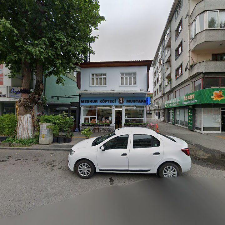 Fotoğraf 11