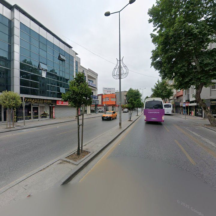 Fotoğraf 12